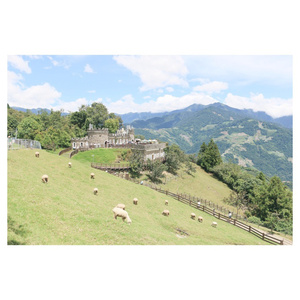 三级黄色录像在线看胸大的夫妻
